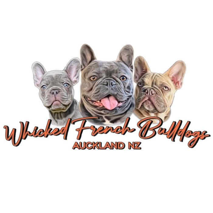 profile photo for Whicked French Bulldogs
