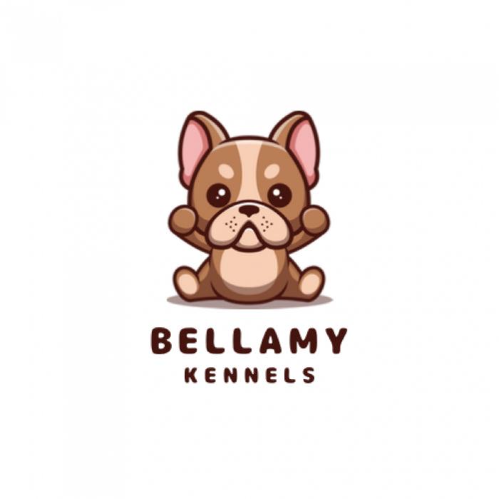 profile photo for Bellamy kennels 