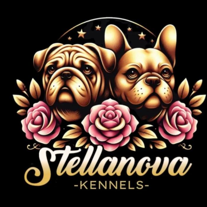 profile photo for Stellanova kennels