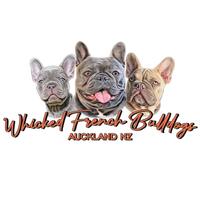 image of Whicked French Bulldogs