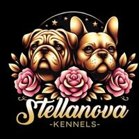 image of Stellanova kennels