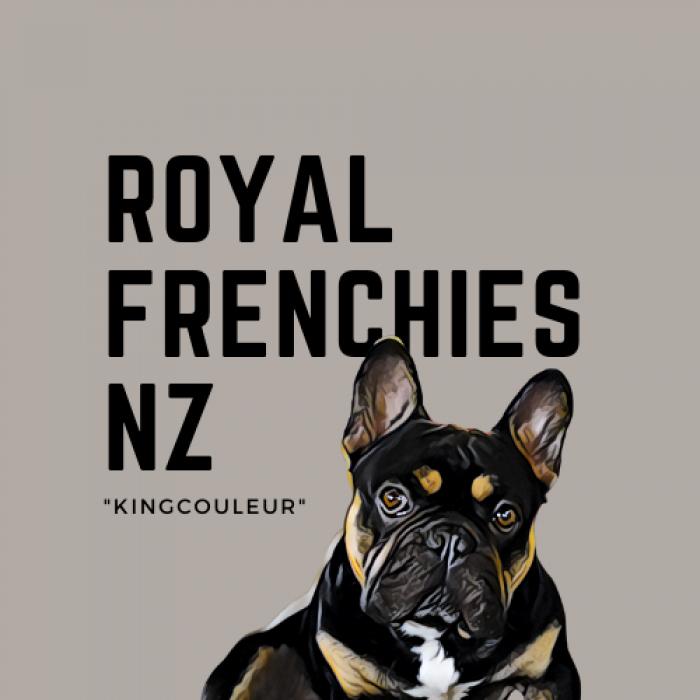 profile photo for Royal frenchies NZ 